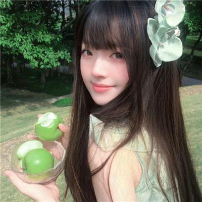 铁甲小宝